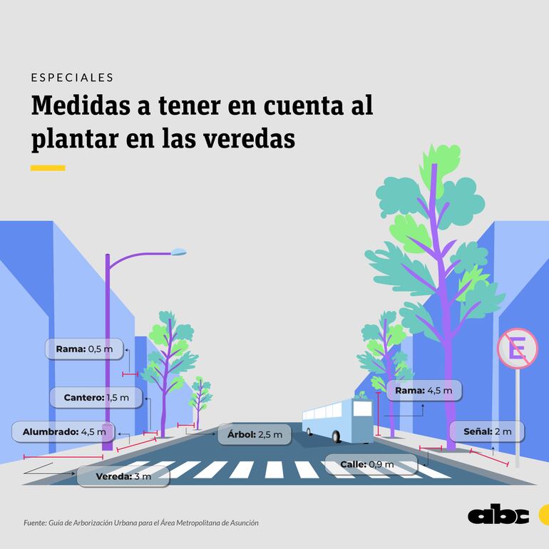 Medidas a tener en cuenta al plantar en las veredas.