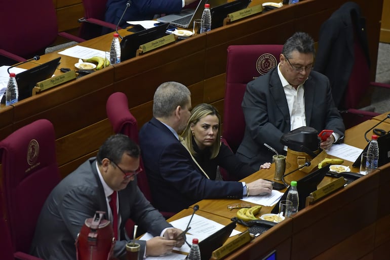 Senadores cartistas en la Cámara Alta.