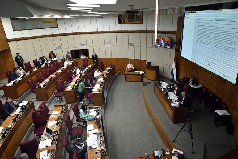 Estudio del proyecto, artículo por artículo, de la ley del RUN.