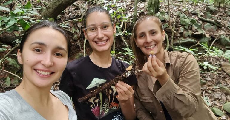 Las investigadoras Michelle Campi, Yanine Maubet y Brenda Veloso encontraron y reportaron la Rickiella edulis, este 10 de abril de 2024, a 127 años de la última aparición.