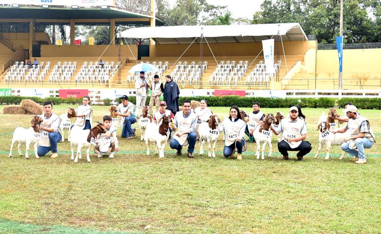 La especie caprina fue la primera en entrar al Ruedo Central a competir en la 76 Exposición Nacional de Ganadería, que se inició con una tenue lluvia.