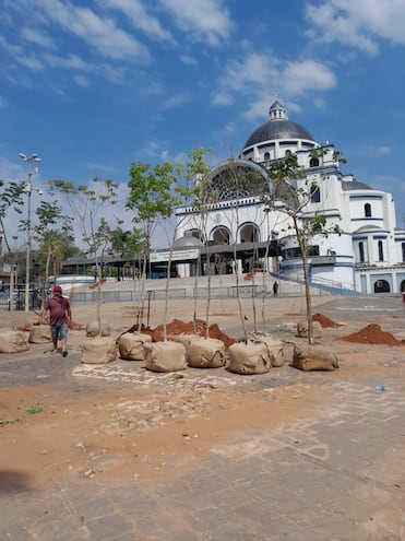 Con plantación de árboles nativos y refacción del exterior del santuario reacondicionan la Basílica de Caacupé