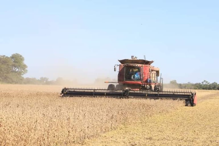 La mecanización de tareas del campo suplantó a varias personas.