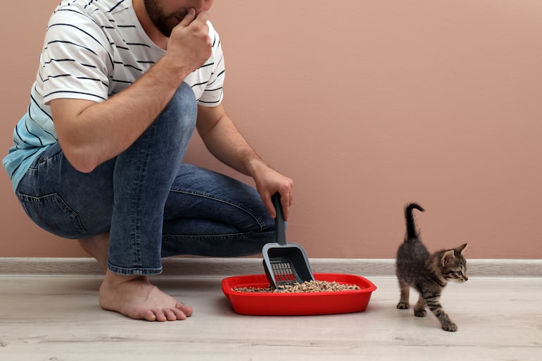 “Tengo gato y mi vecino no”: estas son las reglas básicas para asegurar una buena vecindad