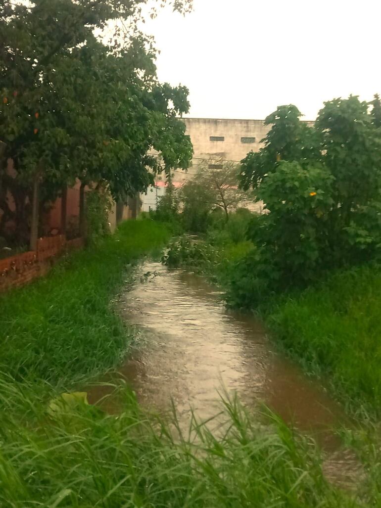 El canal de desagüe pluvial está saturado de malezas.