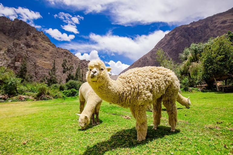 Ollantaytambo, Perú.