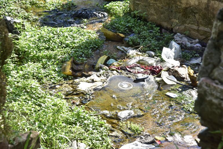 La laguna artificial, alimentada por una naciente de aguas cristalinas, es hoy un basural con aguas verdes.