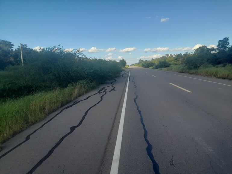 Los arbustos de algarrobo van ganando terreno al costado del camino, por la falta de limpiezas.