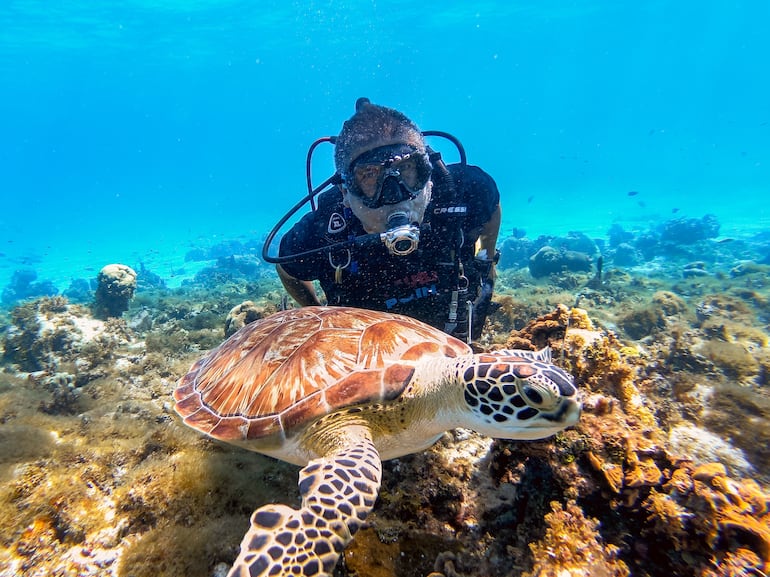 Diversidad marina en San Andrés, Colombia.