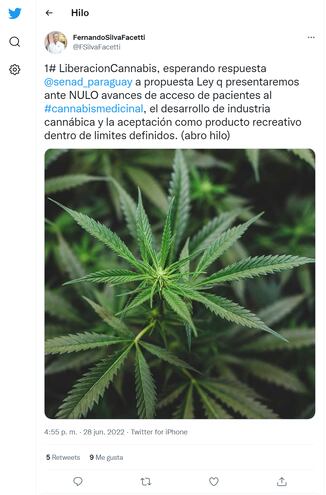 Tweet del Senador Liberal, Fernando Silva Facetti sobre propuesta de liberar la planta de cannabis