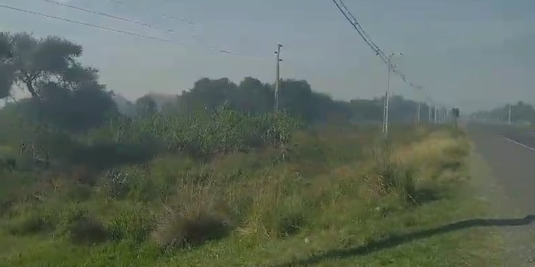 Incendio de pastizal apeligra a automovilistas y transeúntes sobre la ruta Py 19.