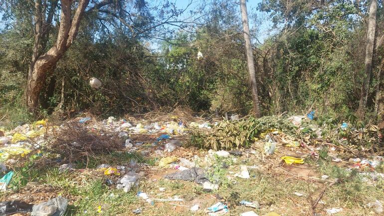 Hasta la fecha los pedidos no fueron  atendidos por la Dirección de Medio Ambiente.