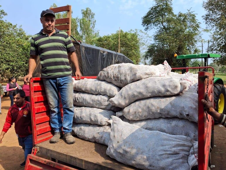 Todavía falta la entrega de 9.240 kilos de papa en distritos de Paraguarí.