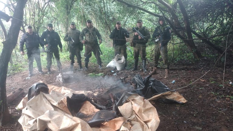 Fueron por abigeos y hallaron plantaciones de marihuana en Alto Verá.