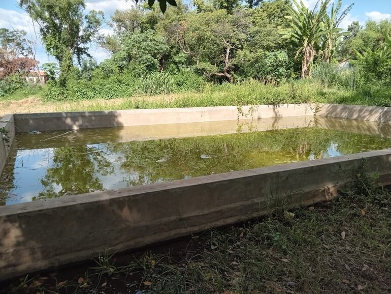 Un enorme caldo de cultivo para el criadero de mosquitos es la pileta que se encuentra en la Plaza de las Aguas.