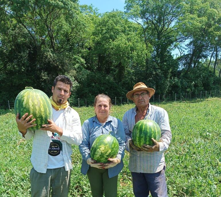 Los pobladores de la Colonia Acuña Figueroa se dedican a la producción de sandía y expondrán su producción en el Festival de la Sandía.