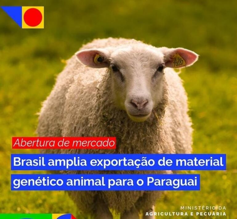 Volante informativo del Ministerio de Agricultura y Abastecimiento del Brasil (MAPA) sobre la apertura de la exportación de genética caprina y ovina hacia nuestro país.