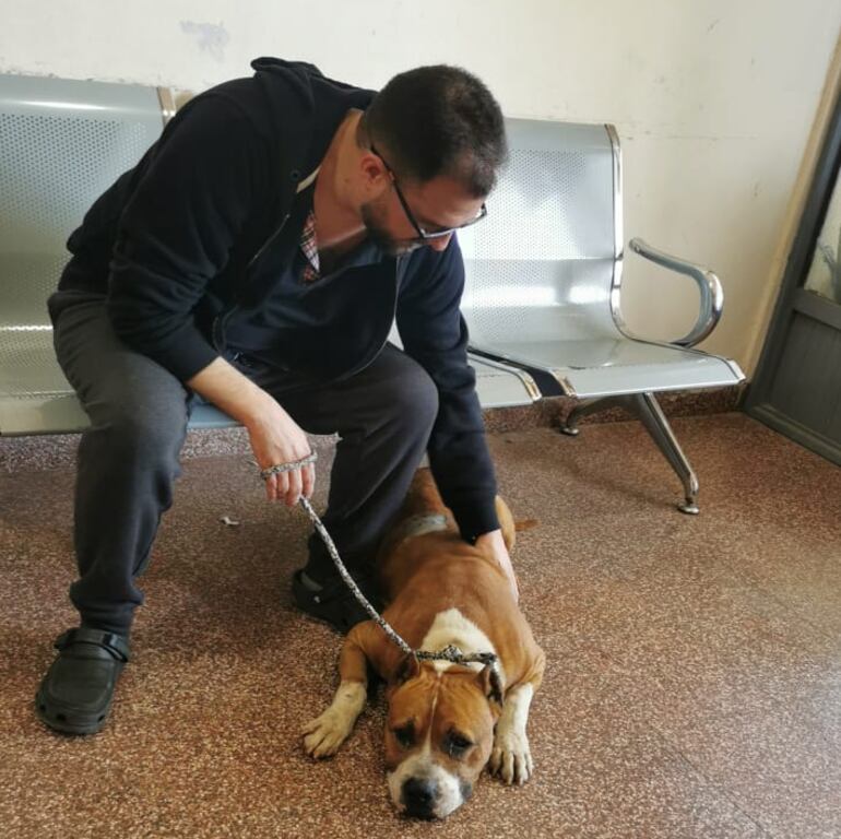 Juan Pablo Leiva Bozzo (imputado) con el perro de la raza pitbull que recibió una herida.
