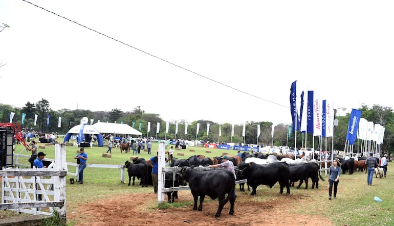 La pista de admisión, Dr. Akberto Oka, durante el  acto de habilitación de una edición anterior de la Expo Nacional de Ganadería.