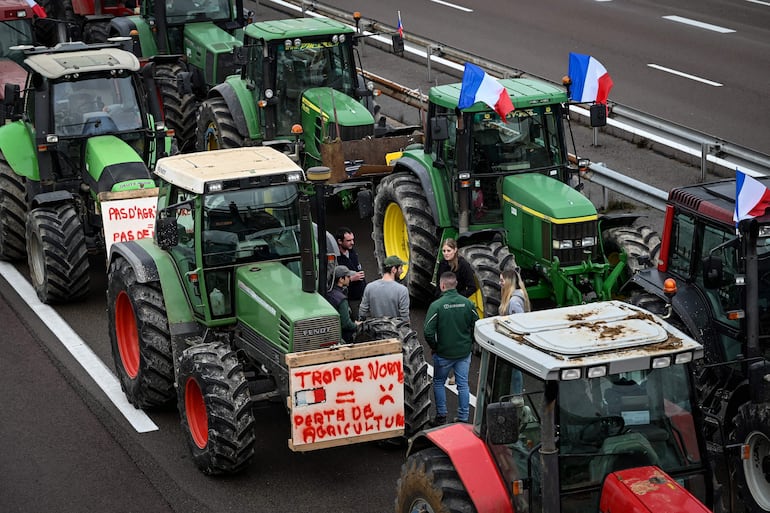 Francia no es el único país de la Unión Europea donde se registran  protestas. A unos cuatro meses de las elecciones al Parlamento Europeo, los  campesinos de Alemania, Rumanía y Polonia también han expresado su rechazo a  las normas ecológicas europeas y a la competencia “desleal” de productos  agrícolas importados.