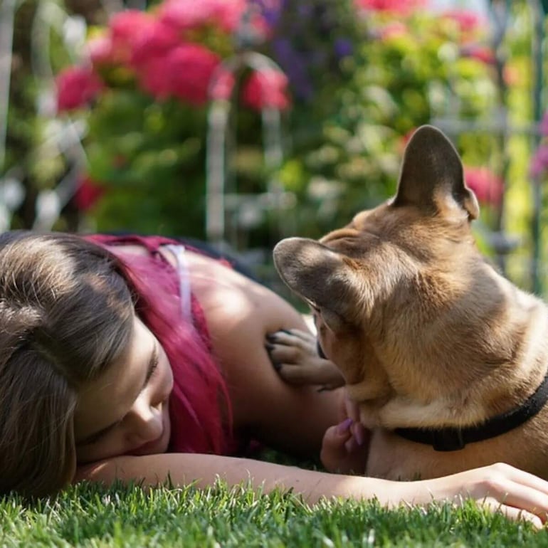 Es sumamente importante conocer las necesidades y el tiempo que disponemos para convivir con nuestra nueva mascota, el ejercicio es necesario para que las personas formen vínculos con su mascota, ayuda a que mantenga un peso ideal y frene comportamientos problemáticos.