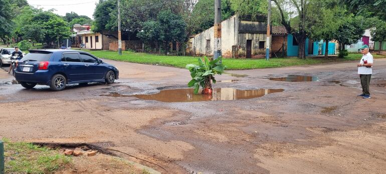 Ponen planta de banana en bache para evitar accidentes.