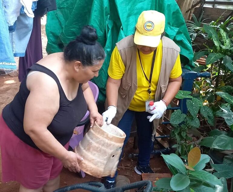 Una funcionaria del Senepa, verifica una casa buscando posibles criaderos del mosquito vector del dengue.