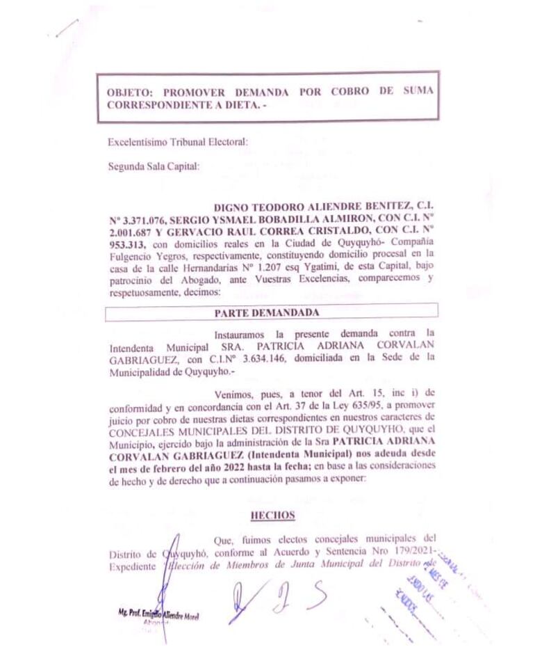 Concejales presentaron la denuncia ante el Tribunal Electoral de la Capital, Segunda Sala, por no cobrar dieta.