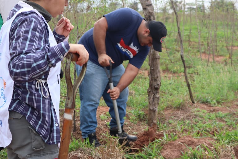 El sacerdote trabajando en una plantación de árboles.