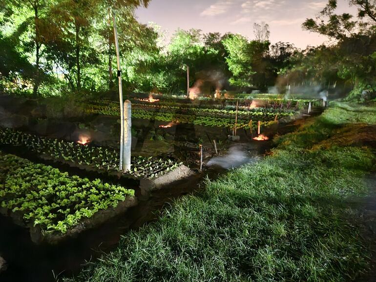 El horticultor instala pozos tipo chimeneas entre los cultivos.