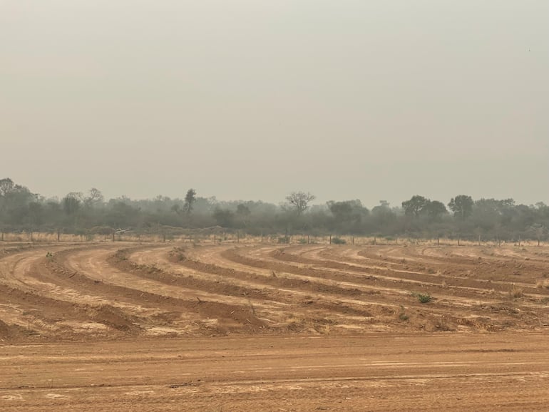 En la imagen los "camellones" que captan en mayor cantidad el agua de lluvia y lo retienen para dirigirlo al reservorio.