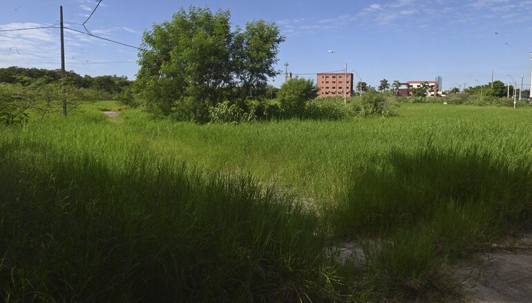 Según el Plan Regulador de la ciudad de Asunción, el predio del Parque Guasu es considerado zona especial, por ende, no es urbanizable.