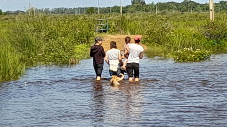 Las familias temen que las aguas perjudiquen sus cultivos de autoconsumo como el maíz, mandioca, poroto entre otros rubros.