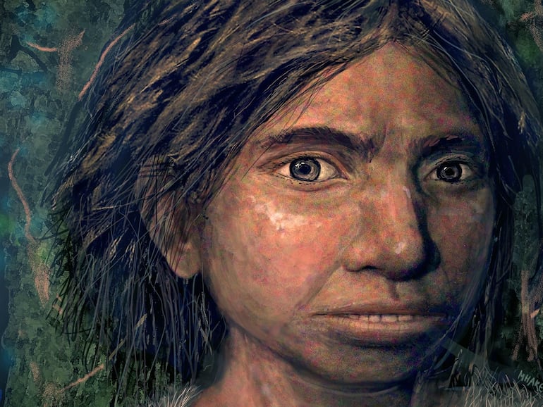 Ilustración facilitada por el Instituto de Biología Evolutiva (IBE-UPF-CISC) de la reproducción de una niña perteneciente a los homínidos de Denísova, denominados denisovanos, cuyo aspecto ha sido reconstruido por investigadores del IBE, a partir de los datos moleculares del ADN extraídos de la punta de un hueso meñique.