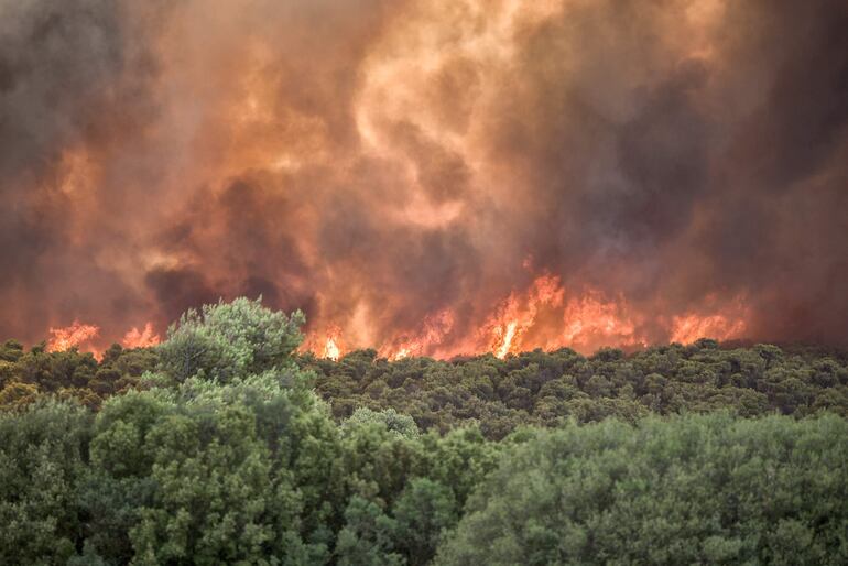 El fuego se apodera de la villa de Pournari, en Magoula, Grecia. 