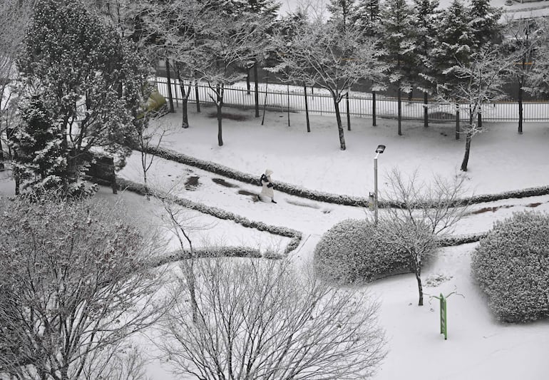 Una mujer camina por un parque cubierto de nieve durante una nevada en Goyang, al noroeste de Seúl. Se están registrando fuertes nevadas en varias ciudades del mundo. (Imagen ilustrativa). 