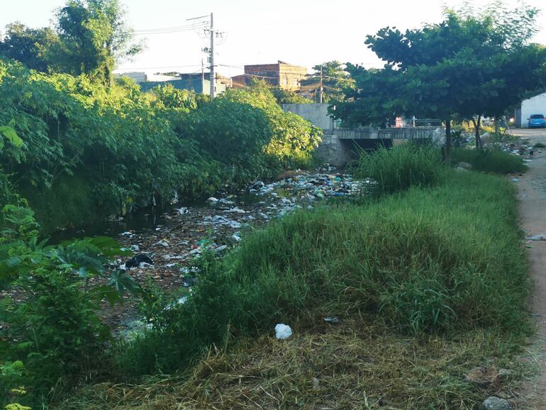 Así se encuentra este sábado el arroyo Ferreira, a la altura del puente Pesoa. El Mades notificó a la Municipalidad de Asunción para exigir la limpieza.