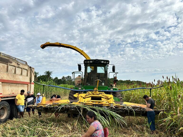 Máquina de forraje implicado en muerte de un niño de 6 años en Caaguazú. (gentileza).