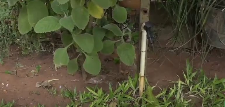 Sin agua en San Antonio. Pobladores exigen una solución al problema.