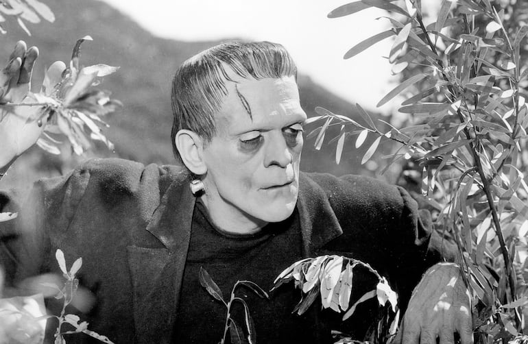 Frankenstein película