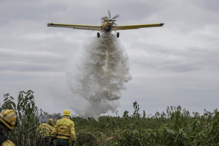 Brigadistas trabajan en la extinción de un incendio este sábado en el Pantanal (Brasil). 