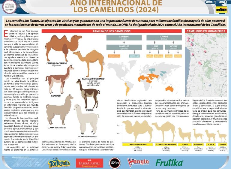 El ABC Escolar trae láminas gigantes con informaciones muy interesantes y actualizadas para compartir.