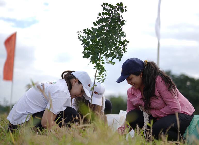 Inmobiliaria del Este se destaca por contribuir con el medio ambiente, con acciones de gran impacto.