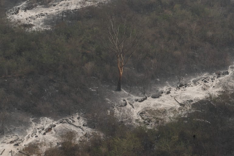 Fotografía aérea de la zona afectada por un incendio en la región del Chaco, en Bahía Negra, norte del Chaco paraguayo.