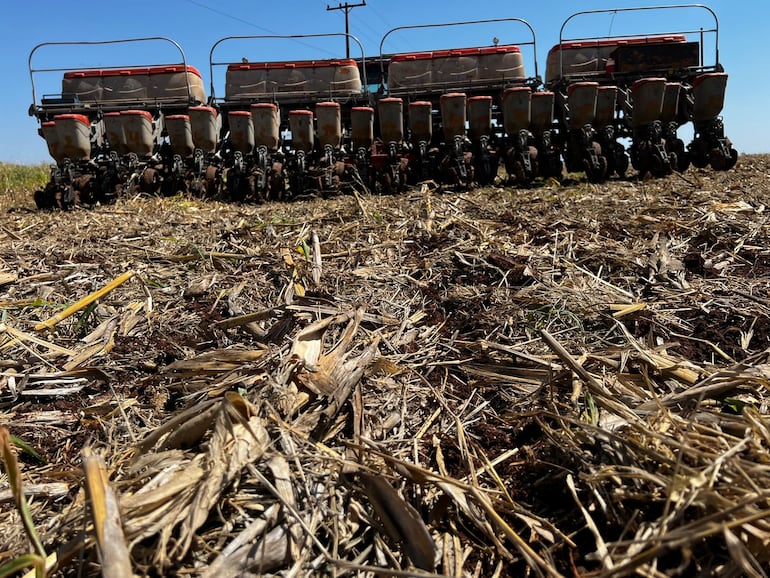 Se espera que el cultivo de soja abarque alrededor de 870,000 hectáreas en el décimo departamento.