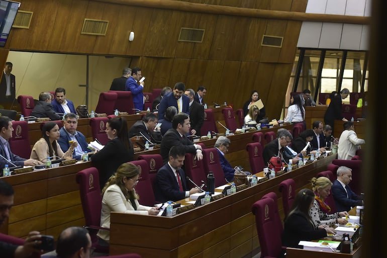 Los diputados deberán decidir sobre el proyecto de subsidio a la Caja Parlamentaria.