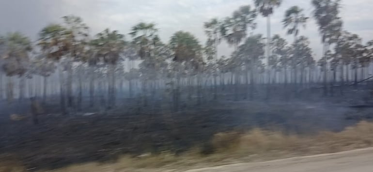 En cuestión de minutos el fuego arrasó cientos de hectáreas de campo en la zona de Fuerte Olimpo.