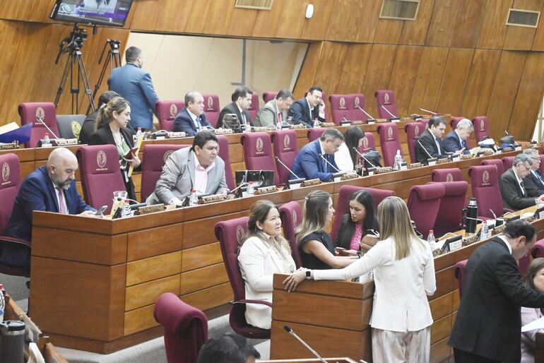 Tras aprobar apenas dos proyectos de interés, entre ellos el subsidio a la "jubilación vip" parlamentaria, la Cámara de Diputados quedó sin quorum en su sesión ordinaria de la fecha.