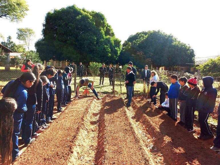 Escolares aprenden las técnicas de la huerta familiar en Carapeguá.