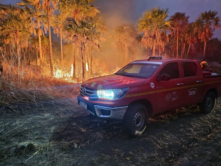 Este tipo de camionetas de la SEN, con pequeños tanques de agua y largas mangueras, logran ingresar entre las malezas, para combatir los bomberos el fuego.